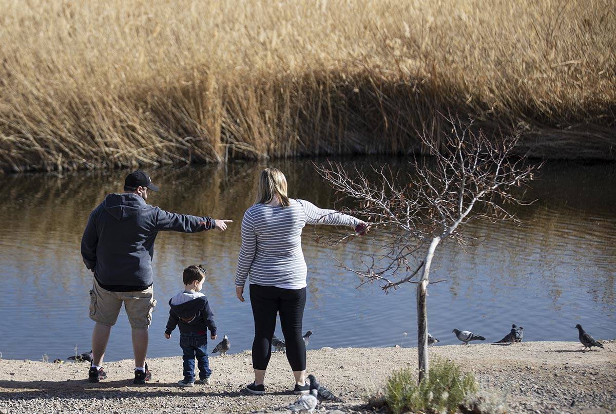 Seth Odom, left, and his wife Kelli relax with their son Andrew, 2, at Cornerstone Park on Wedn ...