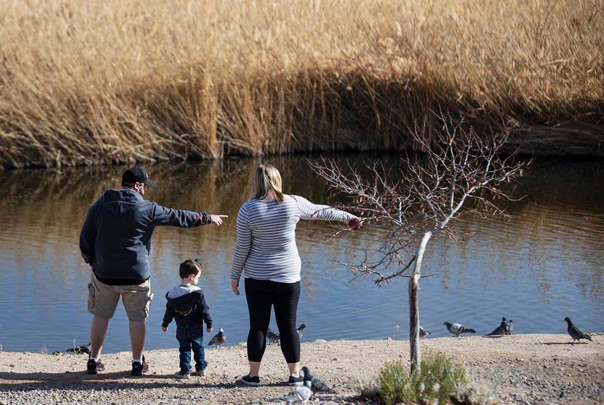 Seth Odom, left, and his wife Kelli relax with their son Andrew, 2, at Cornerstone Park on Wedn ...