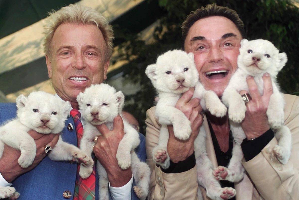 In this April 26, 2001, file photo, Las Vegas entertainers Siegfried & Roy, Siegfried Fischbac ...
