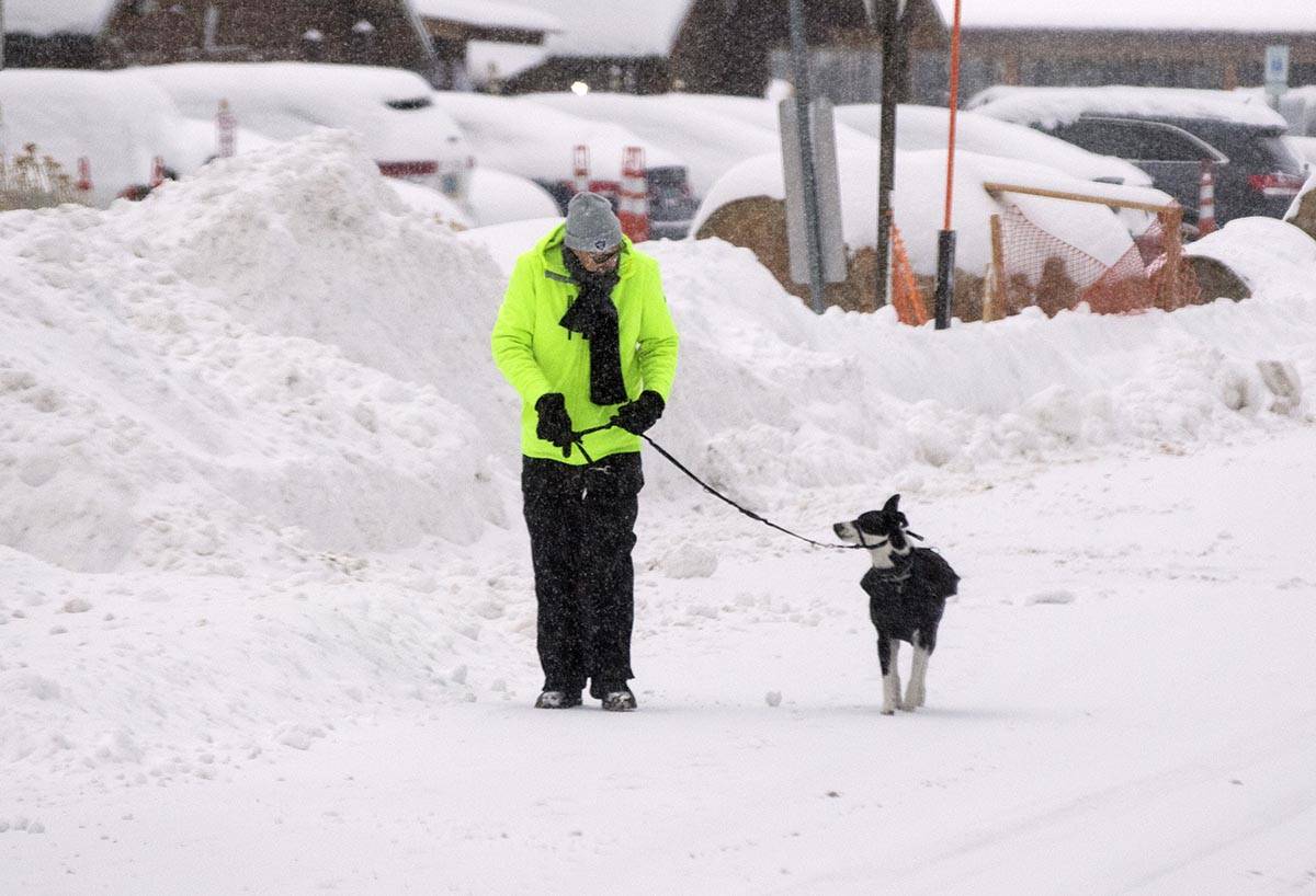 Joe Bahr walks on snow covered street with his dog Charlie, on Monday, Jan. 25, 2021, in Mount ...