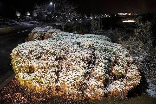 The chilly cold and snow of winter came early Tuesday, Jan. 26, 2021, in Henderson. (Bizuayehu ...