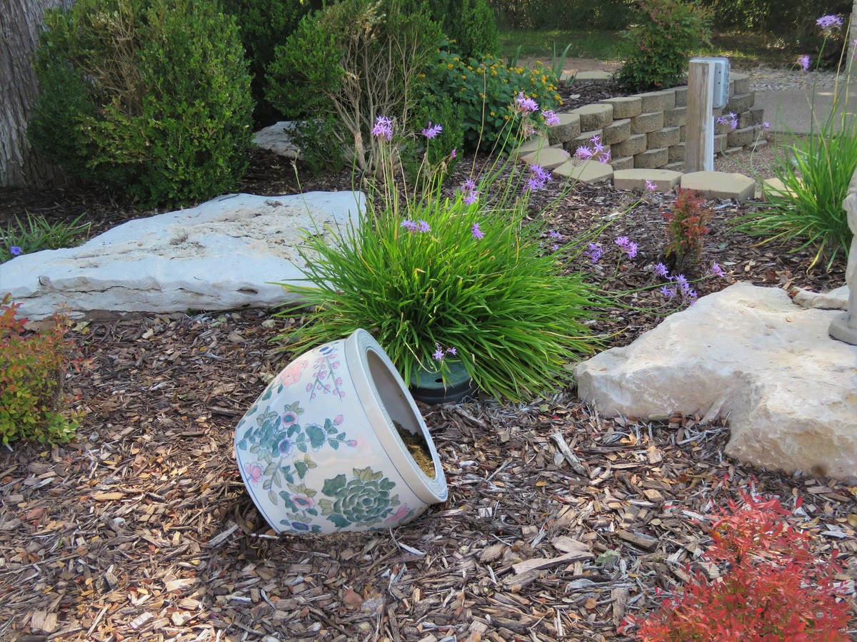Xeriscaping is the practice of designing landscapes to reduce or eliminate the need for irrigat ...