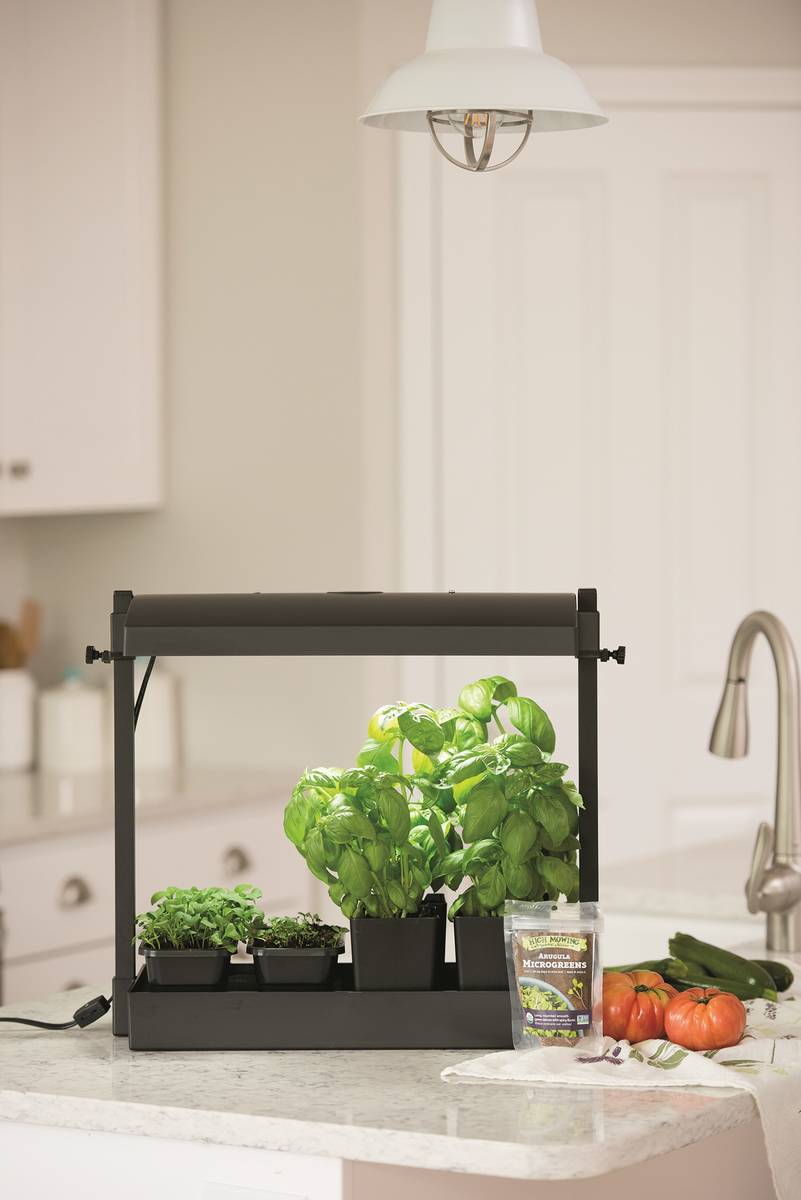 Small grow light kits make growing herbs and microgreens indoors easy and convenient for harves ...