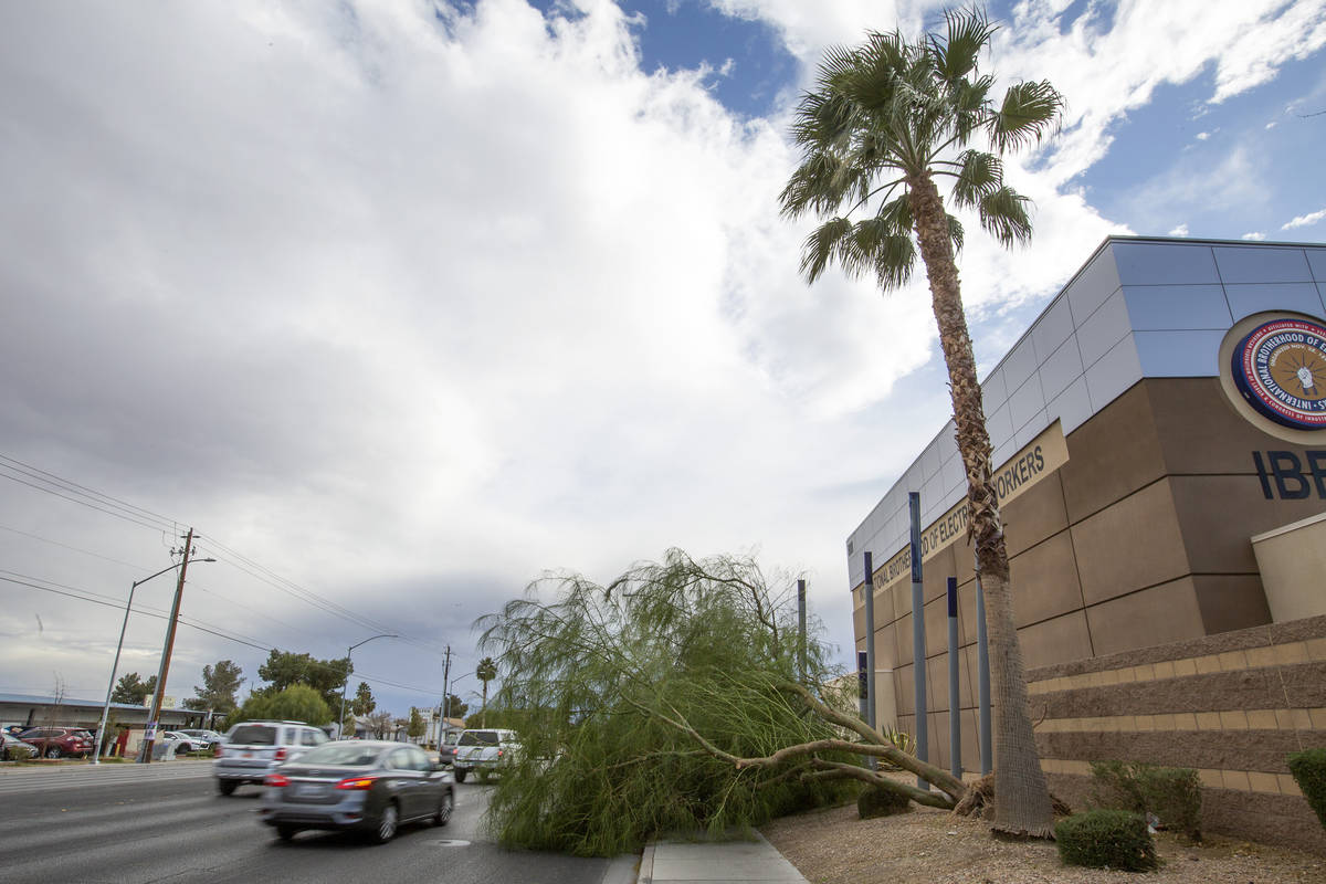 A tree partially blocks traffic on Lamb Boulevard near Harris Avenue after Clark County issued ...