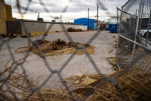 A view of the proposed food truck lot in the Arts District in downtown Las Vegas on Monday, Feb ...