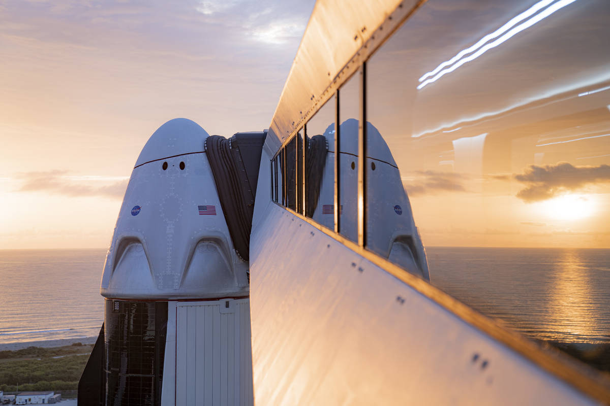 A SpaceX Crew Dragon craft. (SpaceX)