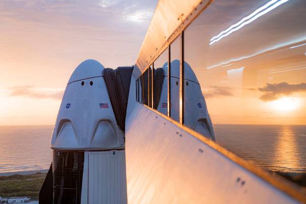 A SpaceX Crew Dragon craft. (SpaceX)