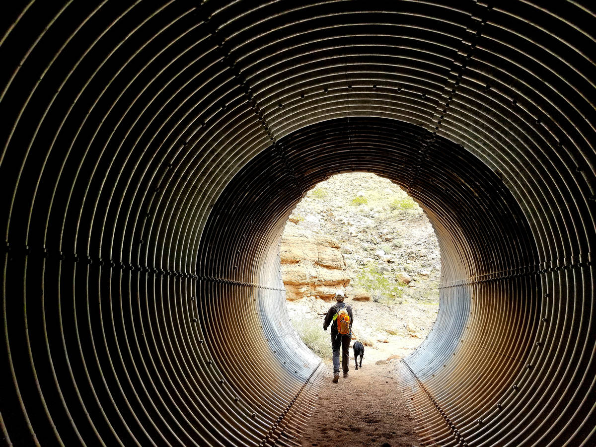 A hiker and her dog make their way through one of two culvert passes along Owl Canyon Trail. (N ...