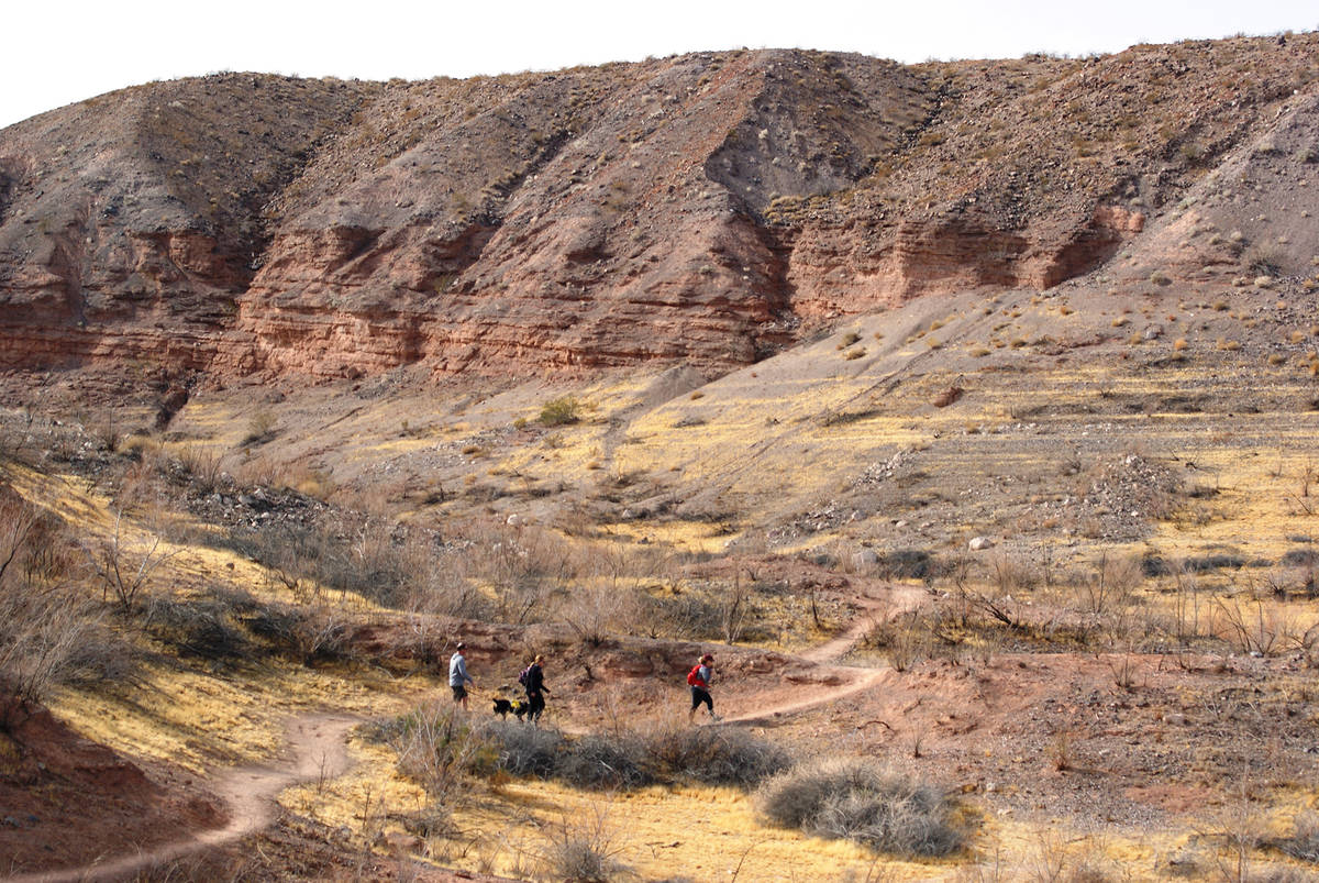 In a picture taken earlier this winter, hikers follow a path that takes them along the lakebed ...