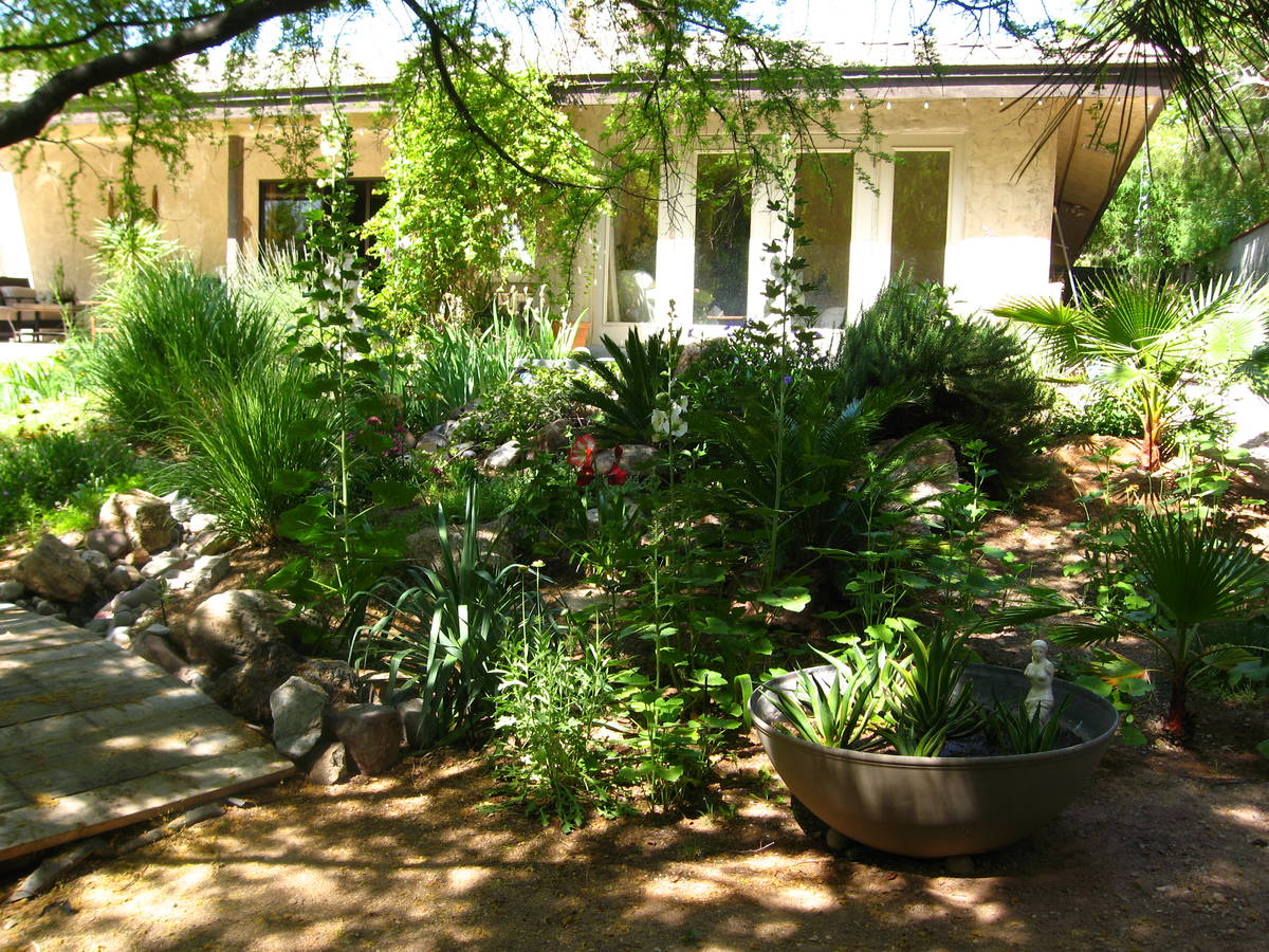 This landscape on a half-acre uses about $250 each month during the summer. Landscape plants pr ...
