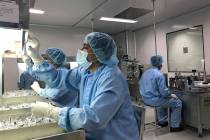 Production personnel perform a visual inspection of filled vaccine vials inside the Incepta pla ...