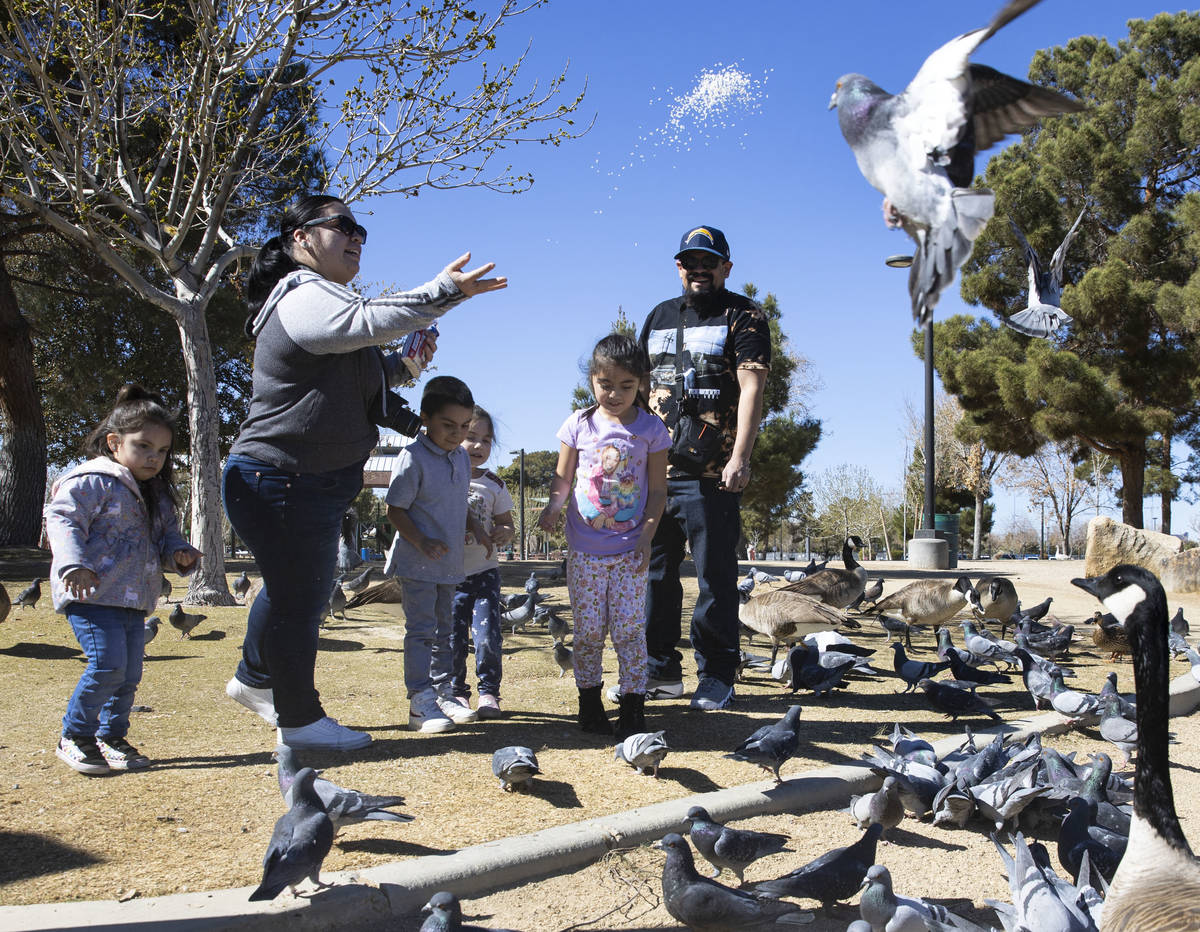 Lupe D, second left, feeds birds with her kids Kali, 3, left, and Jonnie D, 5, as cousins Valer ...