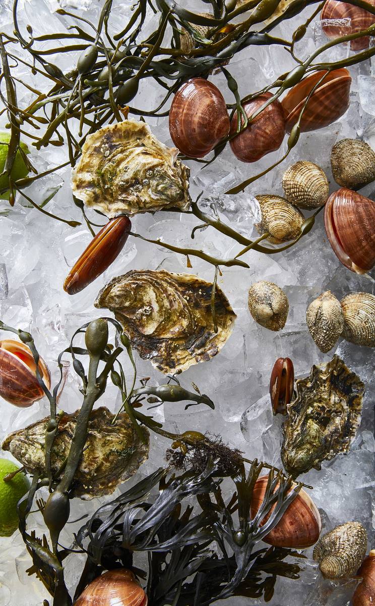 Oysters and clams will be offered at the new Estiatori Milos raw bar. (Tim Atkins)
