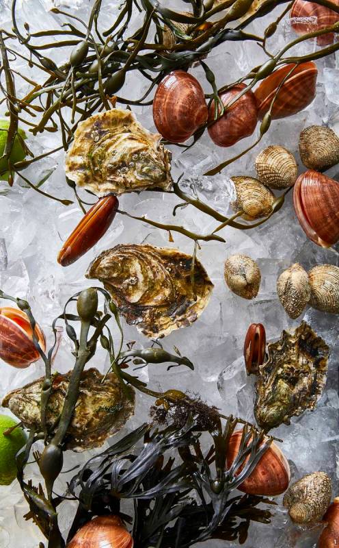 Oysters and clams will be offered at the new Estiatori Milos raw bar. (Tim Atkins)