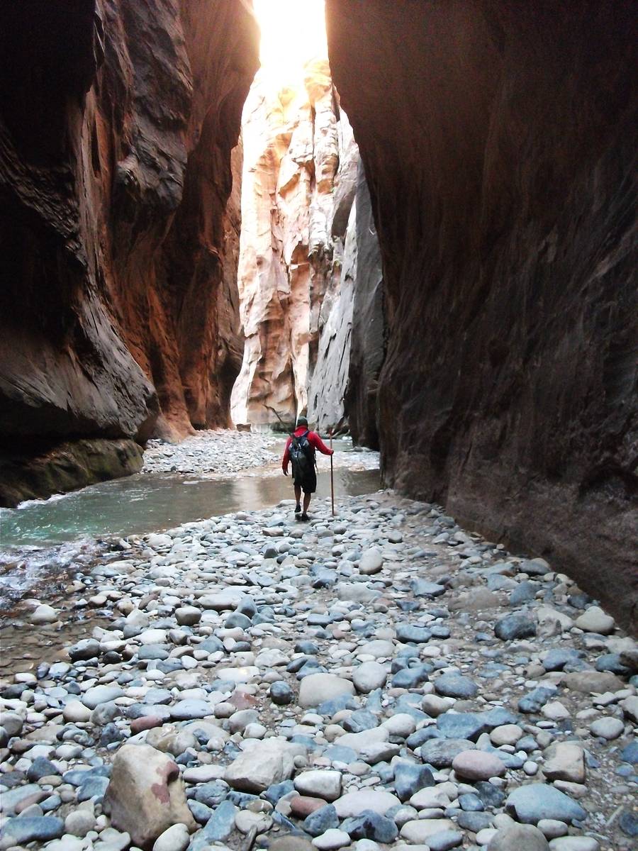 The Zion National Park Forever Project offers workshops, field programs and service projects in ...