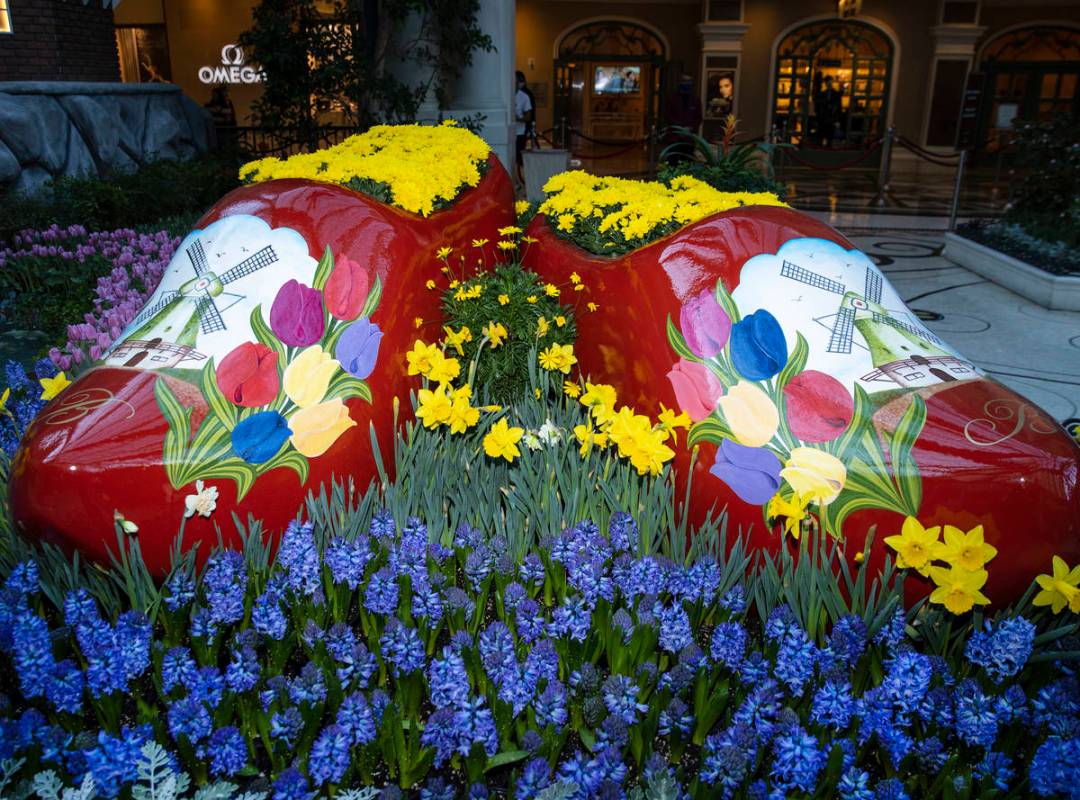 The Bellagio Conservatory, honoring the springtime celebration in Holland, displays the Tulip F ...