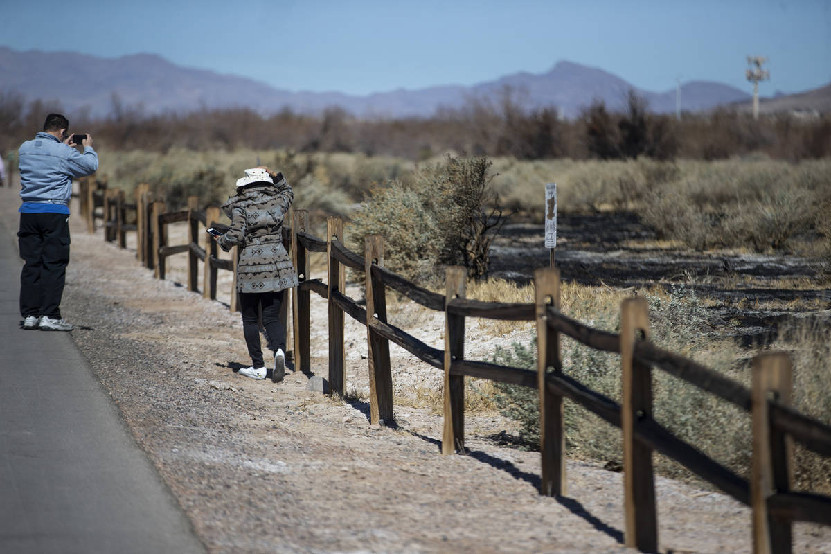 Hanna Lee, right, and her husband Roy Thompson, who live adjacent to Clark County Wetlands Park ...