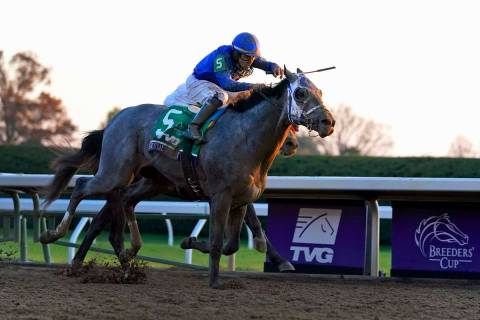 Jockey Luis Saez rides Essential Quality to win the Breeders' Cup Juvenile horse race at Keenel ...
