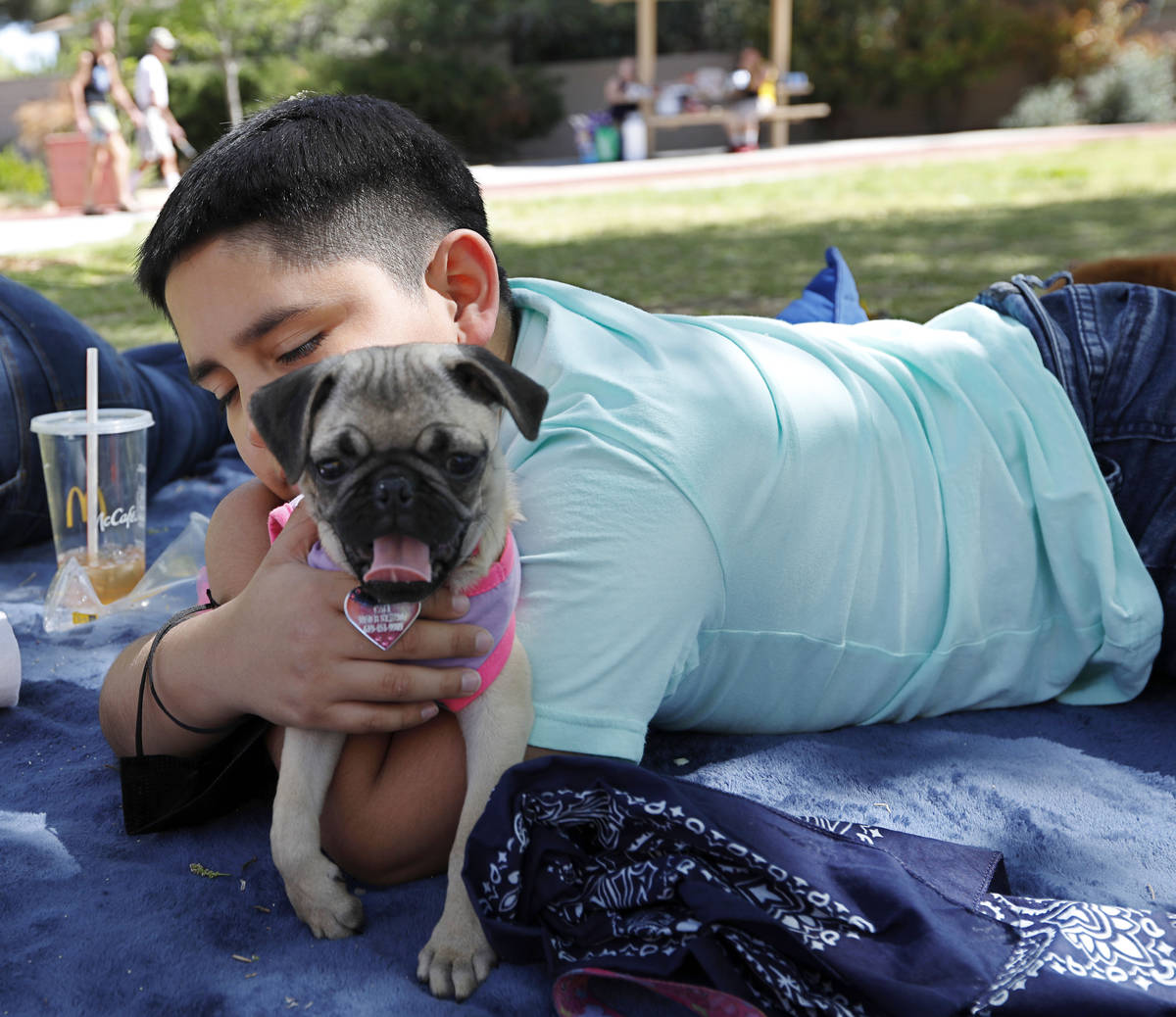 Fabian Sanchez, 9, of Las Vegas holds his pug Cali during a family picnic at Bob Baskin Park in ...