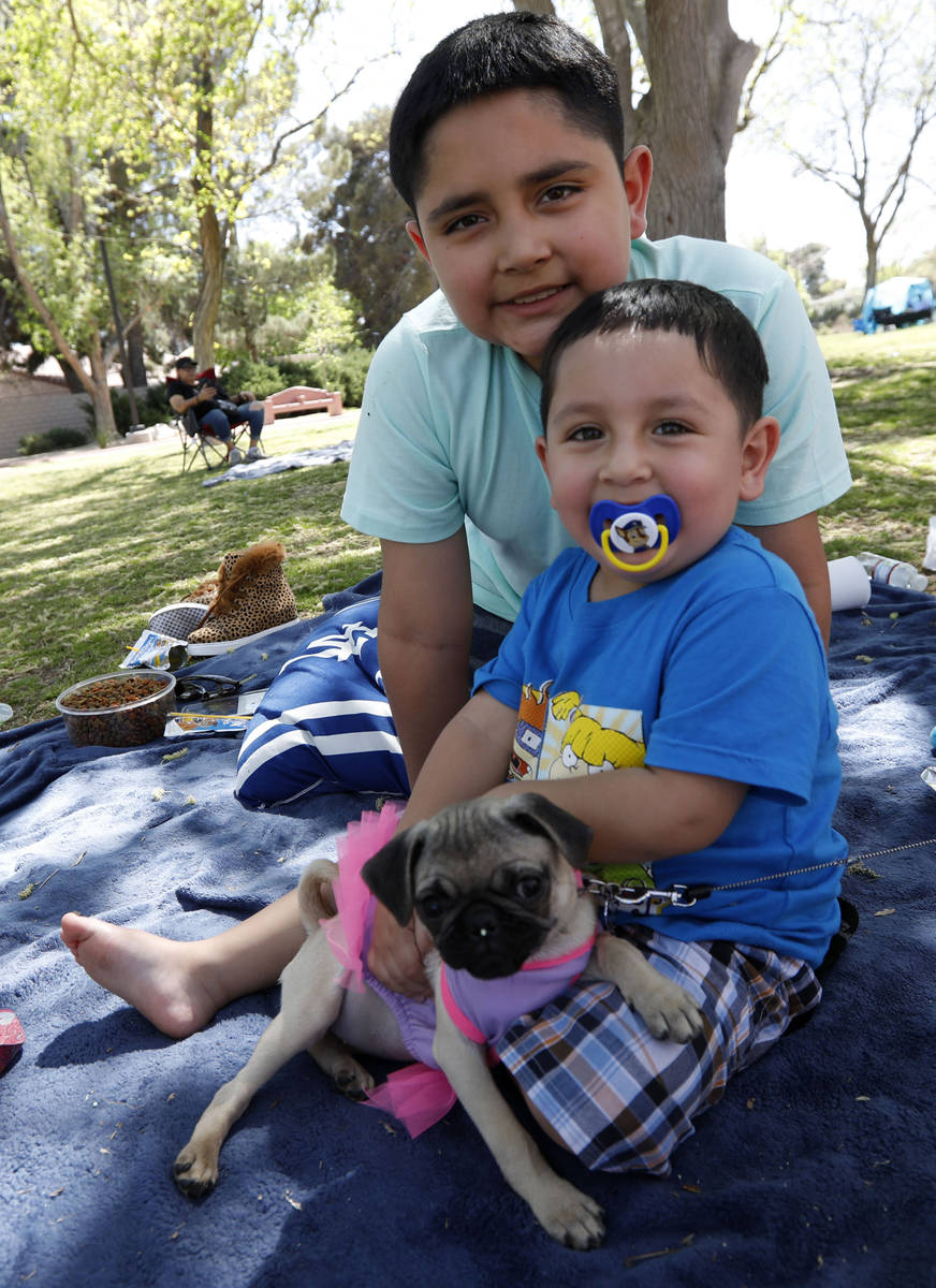 Fabian Sanchez, 9, of Las Vegas, top, and his brother Julian, 3 pose for a photo with their pug ...