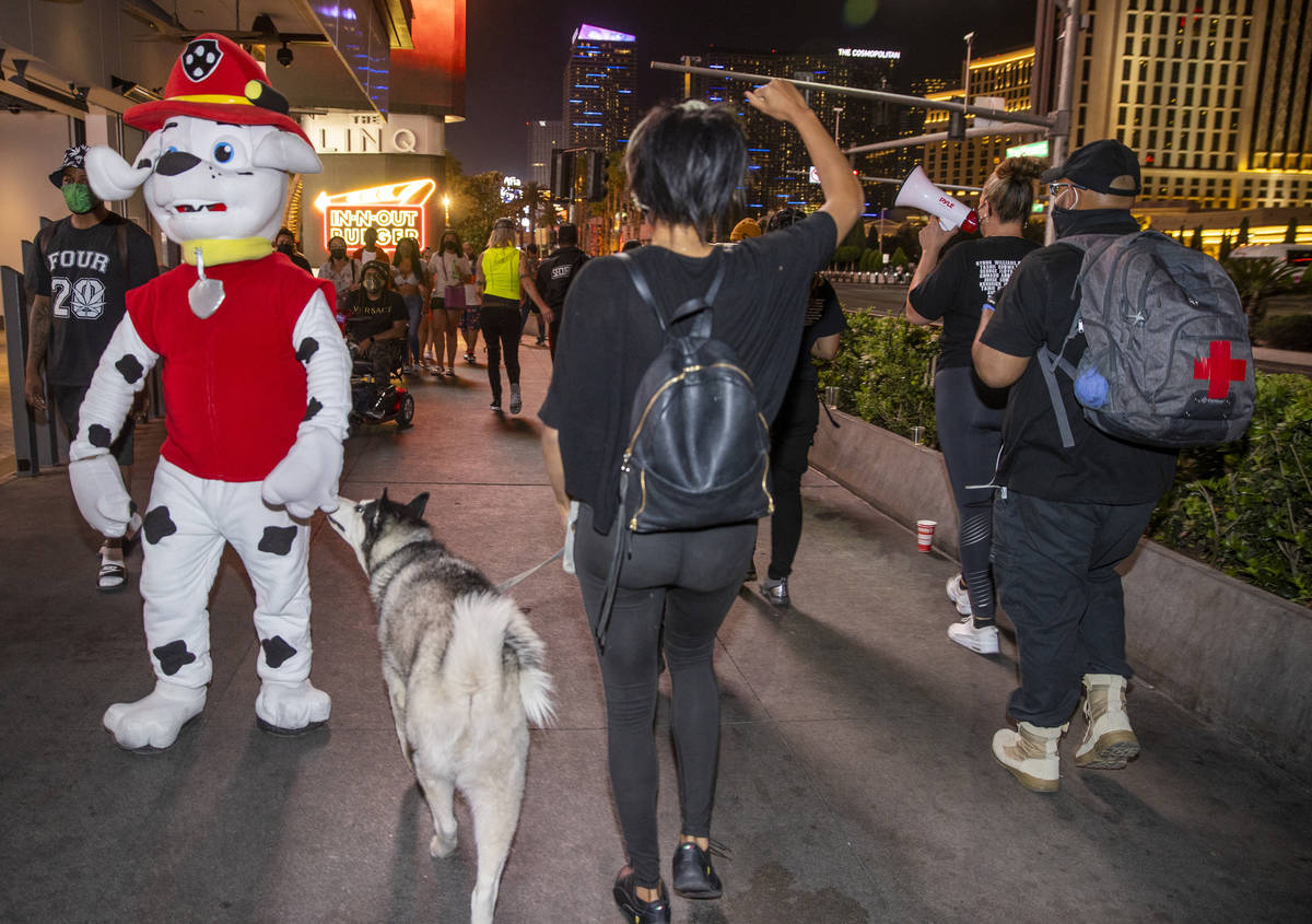A costumed dog is sniffed by a real one during a small group march along the Strip following th ...