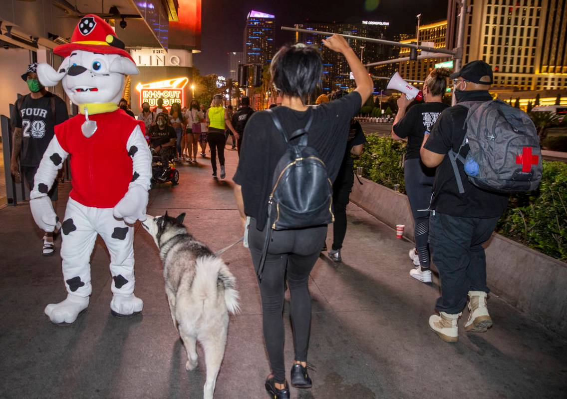 A costumed dog is sniffed by a real one during a small group march along the Strip following th ...