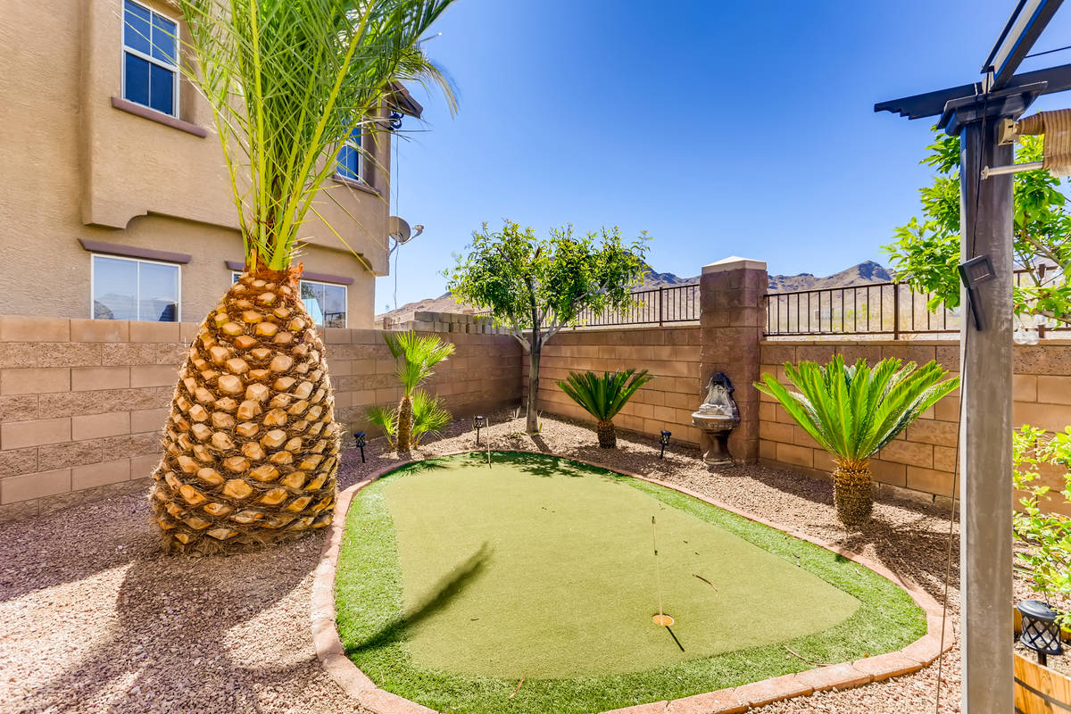 The backyard at 1163 Paradise Mountain Trail, Henderson. (Virtuance Photography)