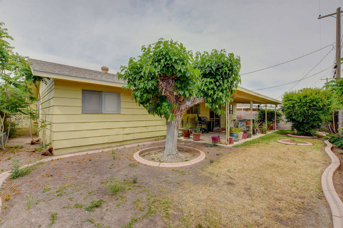 The backyard at 321 Lance Ave., North Las Vegas (Wild Dog Photography)