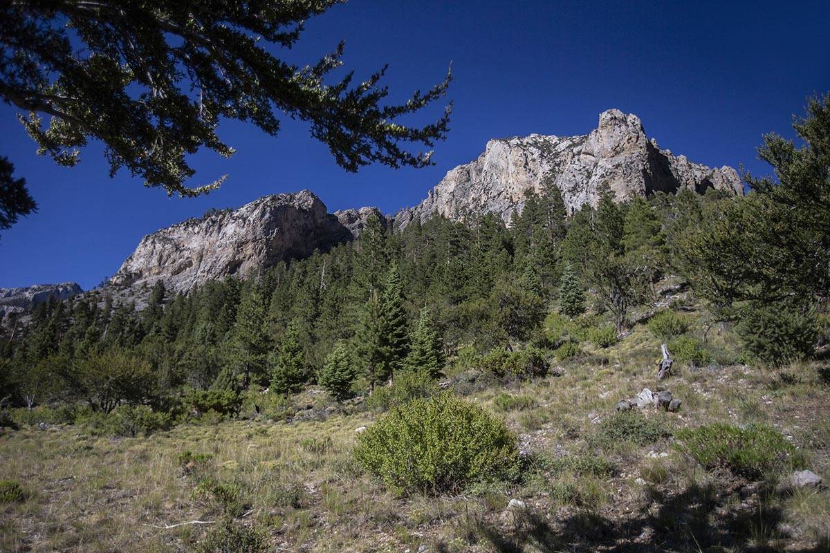 Mount Charleston near Las Vegas. (Benjamin Hager/Las Vegas Review-Journal)