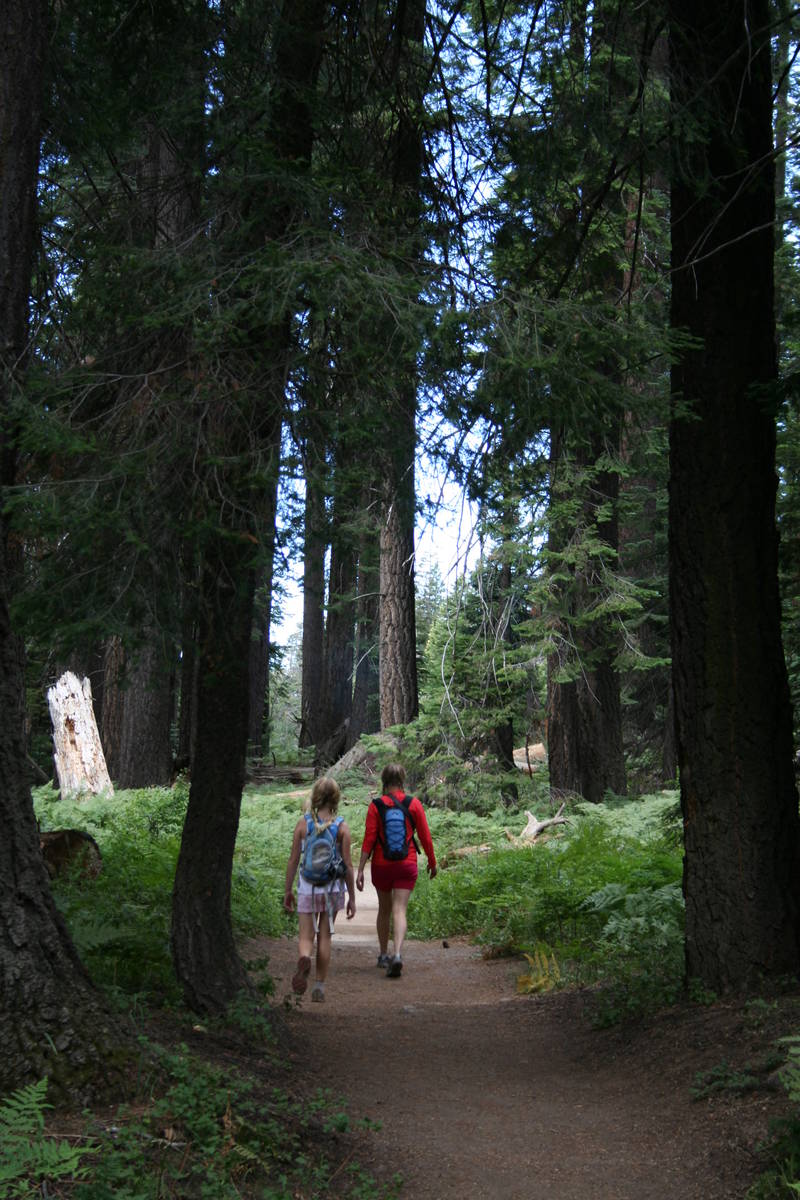 There are more than 850 miles of hiking trails between the Sequoia and Kings Canyon national pa ...