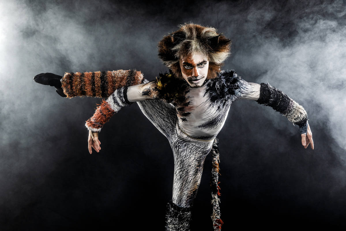 "Cats" will open The Smith Center's Broadway Las Vegas series Oct. 12-17. (Matthew Murphy)