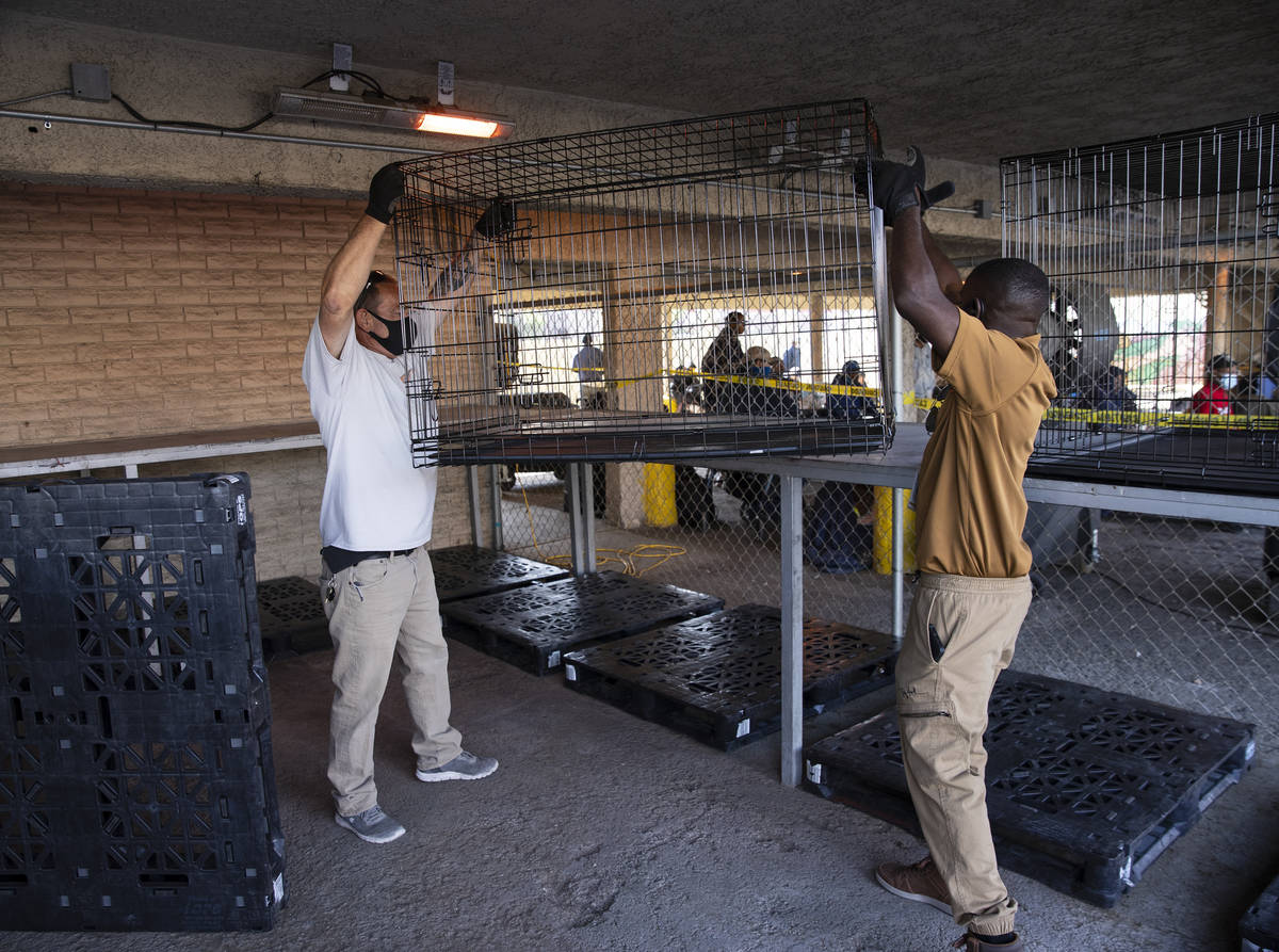 Volunteers place dog kennels into a pet holding area at the Courtyard Homeless Resource Center, ...