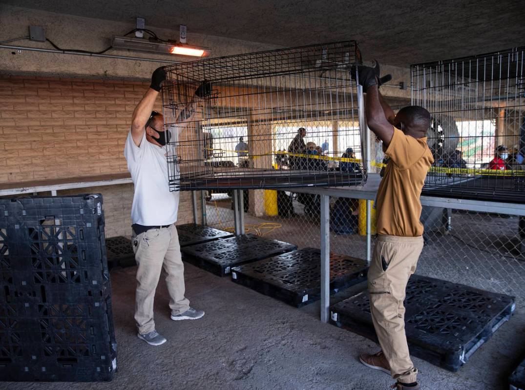 Volunteers place dog kennels into a pet holding area at the Courtyard Homeless Resource Center, ...