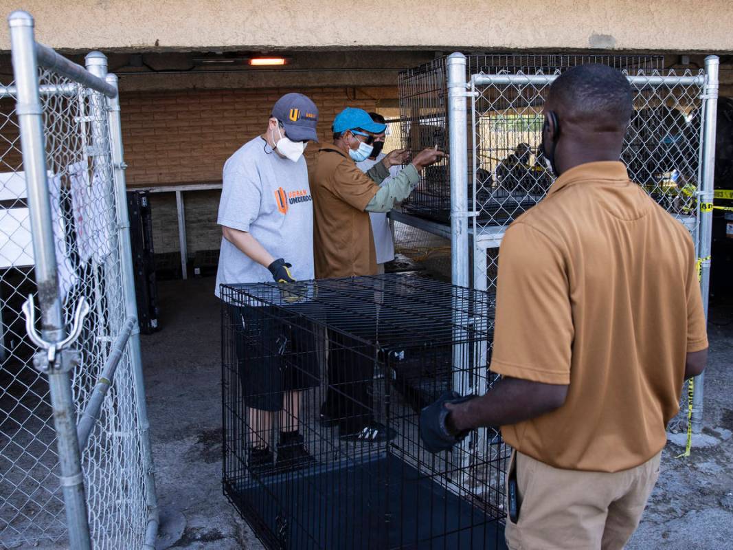 Volunteers place dog kennels into a pet holding area at the Courtyard Homeless Resource Center, ...