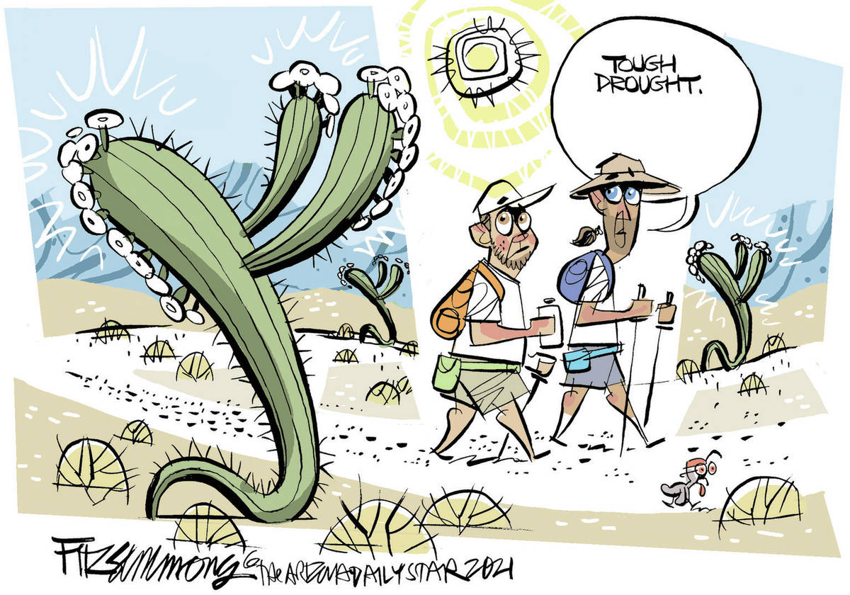 (David Fitzsimmons/The Arizona Star)
