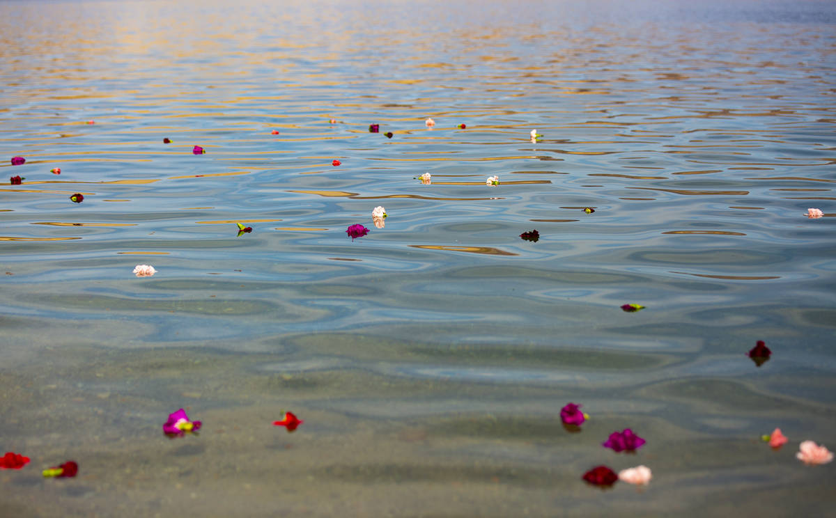 Carnations float in the water after they were released by family and friends of Jorge Gomez, wh ...