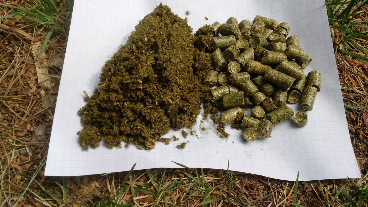 Alfalfa meal can be prepared from alfalfa pellets by soaking, crushing and drying them. (Bob Mo ...