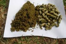 Alfalfa meal can be prepared from alfalfa pellets by soaking, crushing and drying them. (Bob Mo ...