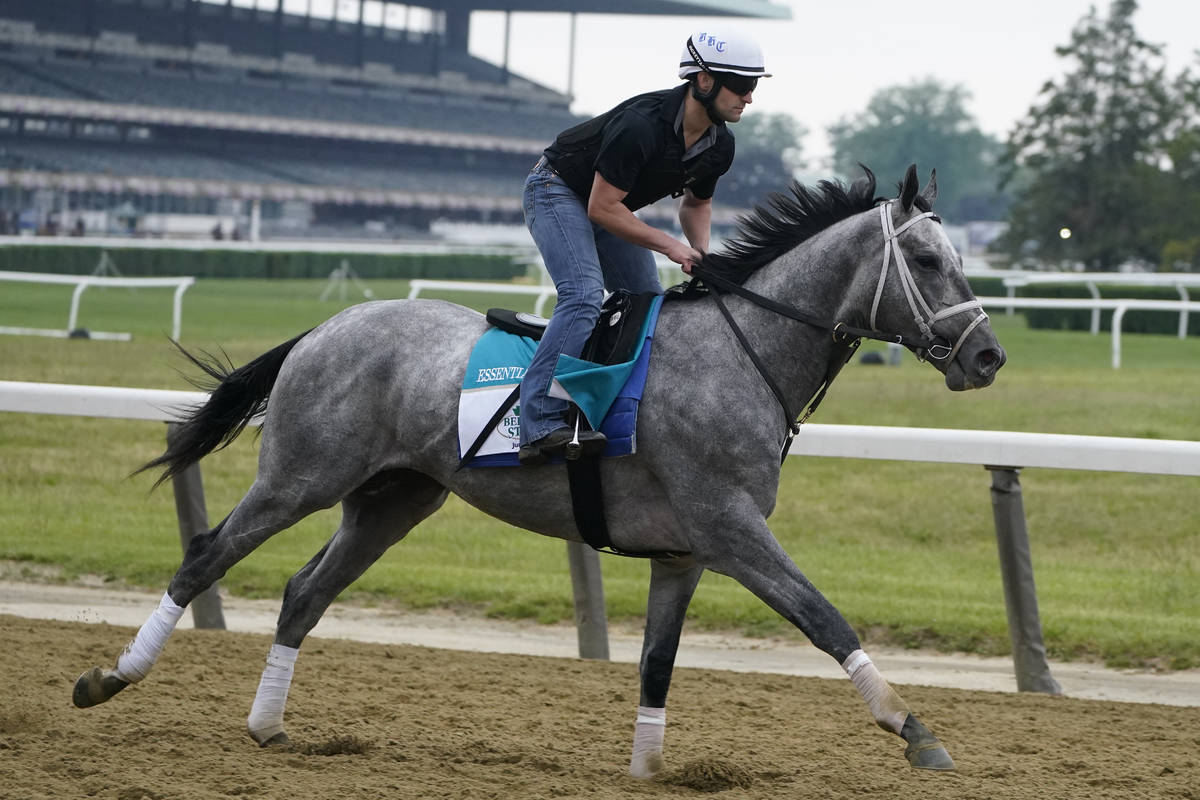 Essential Quality trains ahead of the 153rd running of the Belmont Stakes horse race in Elmont, ...