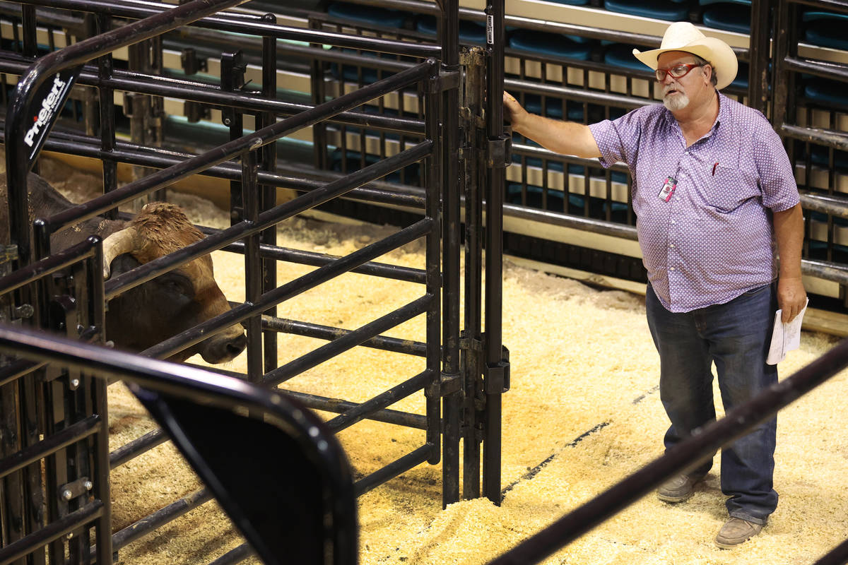 Former bullfighter Ted Groene works bull logistics behind the scenes during the Professional Bu ...