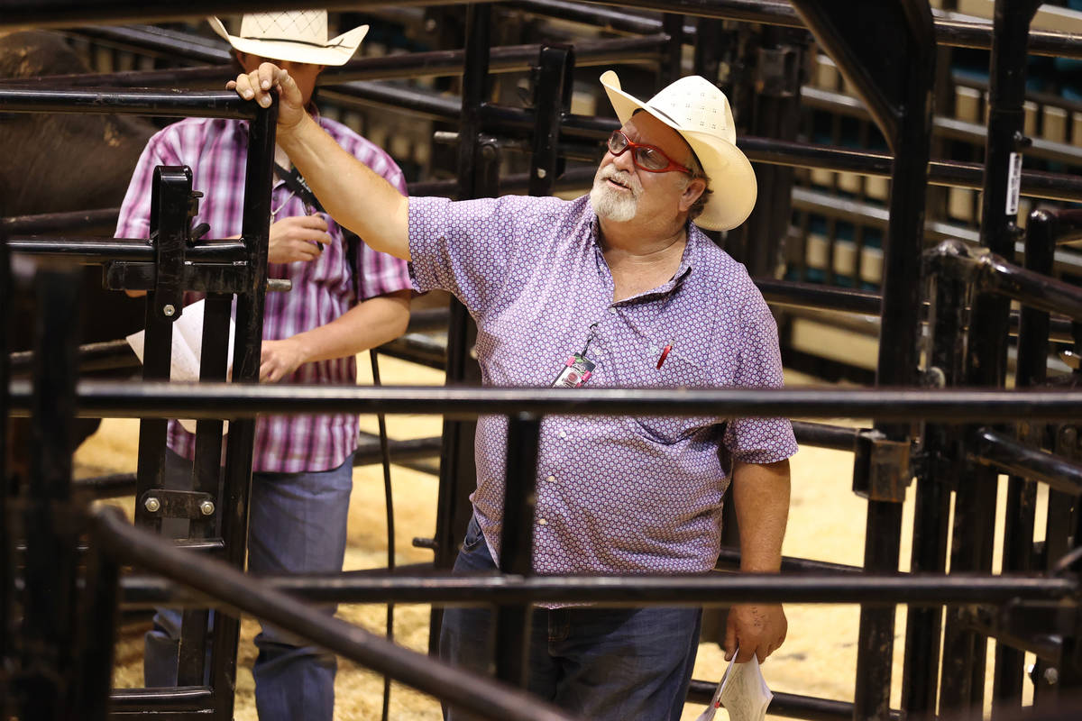 Former bullfighter Ted Groene works bull logistics behind the scenes during the Professional Bu ...