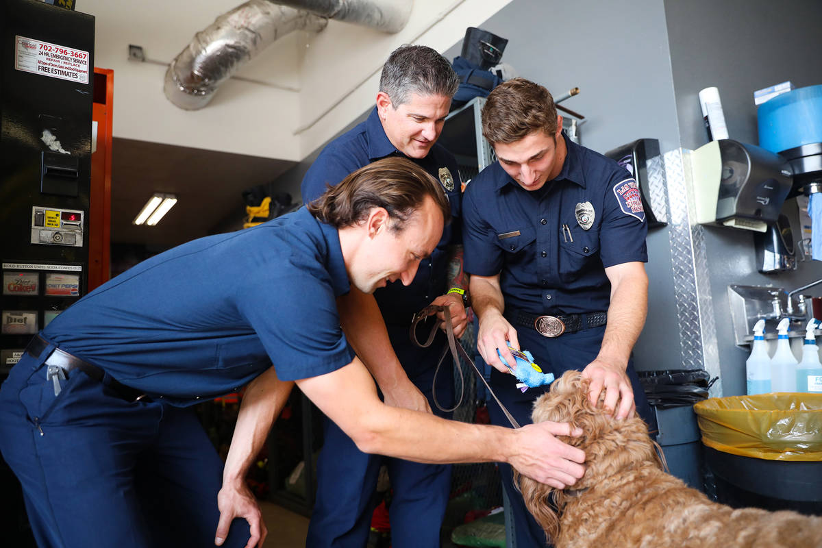 Tyler McFate, Station 1A operations chief, from left, plays with Murphy, a golden doodle, next ...