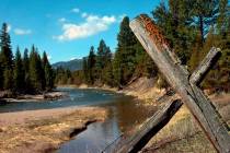 Jacobsen Creek, a tributary of the North Fork of the Blackfoot River, is seen near Ovando, Mont ...