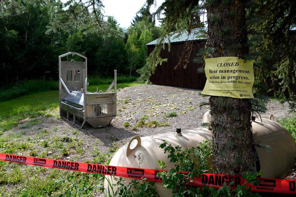 A bear trap set by Montana Fish, Wildlife and Parks sets Wednesday, July 7, 2021, in the campin ...