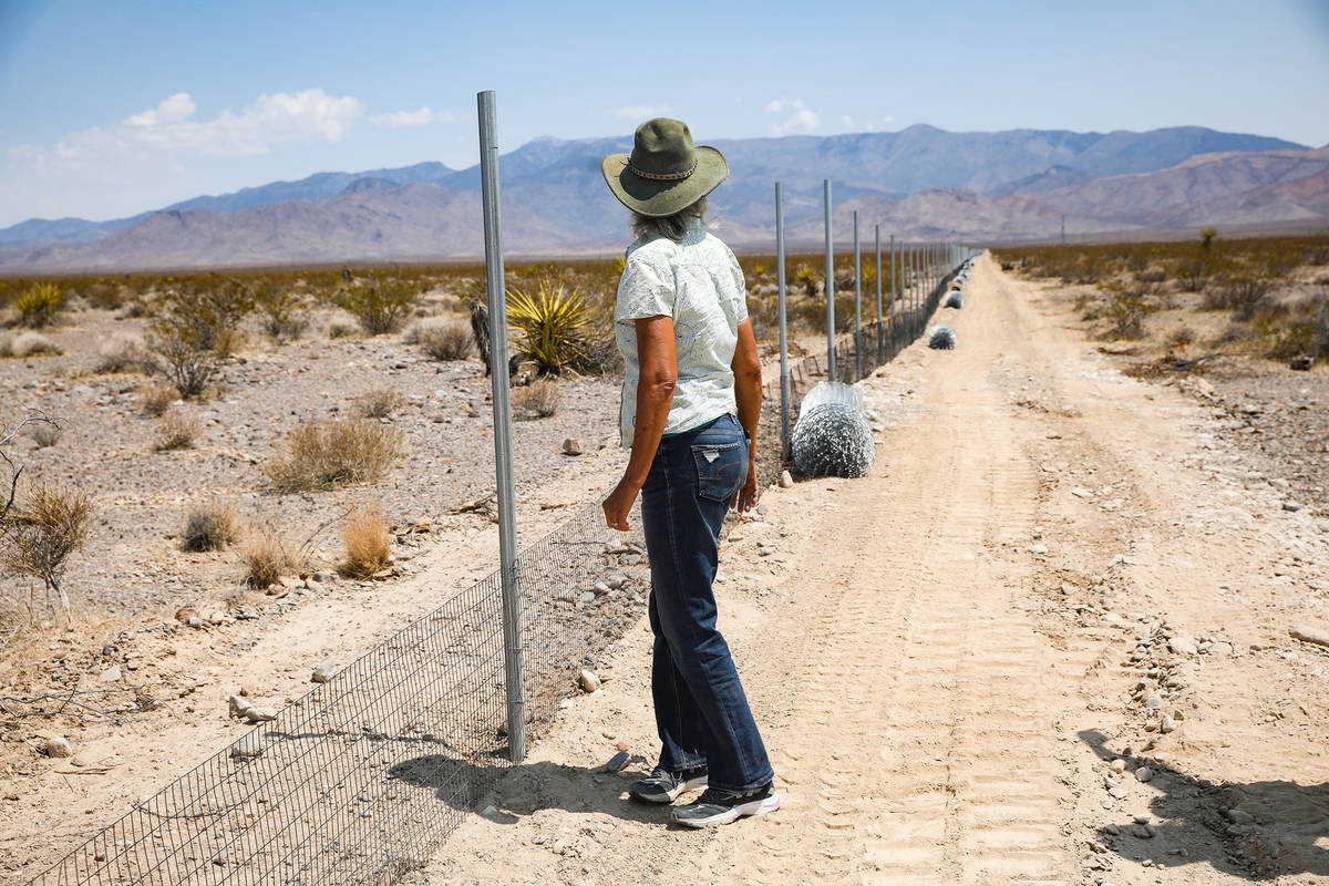 Laura Cunningham looks down the fence line of the future Yellow Pine solar project in the deser ...