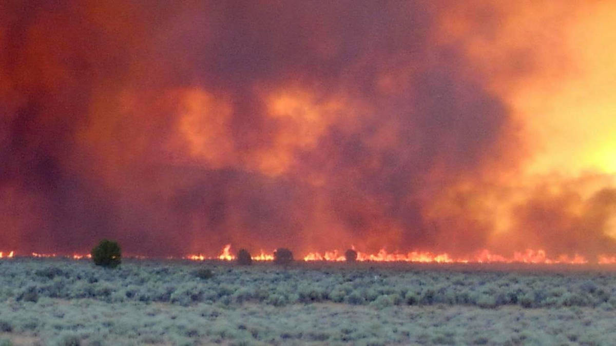 This Tamarack fire image was taken around Leviathan Mine Road, Nevada-California border on Wedn ...