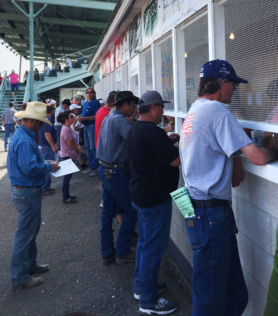 Fans place their bets at the White Pine Races in Ely. (Mike Brunker/Las Vegas Review-Journal)