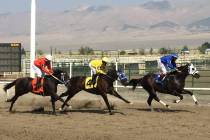 Down the stretch they come at the White Pine Races on Sunday, August 19, 2018 in Ely. (Mike Bru ...