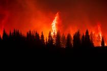 Flames from the Dixie Fire crest a hill in Lassen National Forest, Calif., near Jonesville on M ...