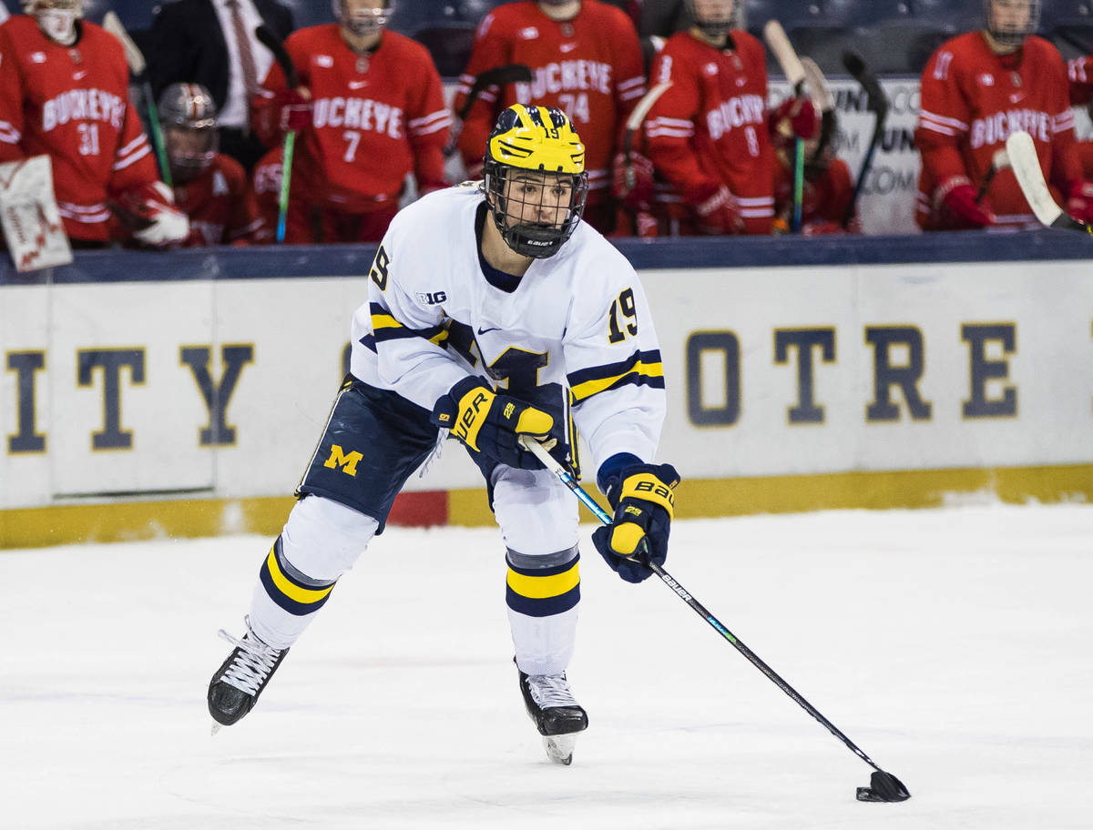 Michigan's Brendan Brisson (19) skates down the ice during an NCAA college Big Ten hockey tourn ...